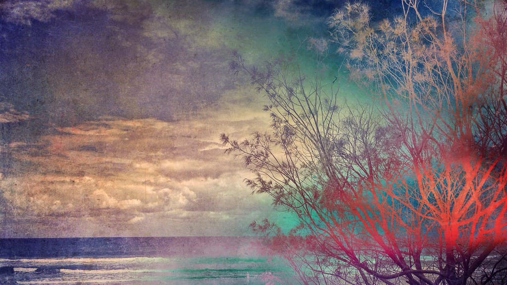 North Burleigh Beach