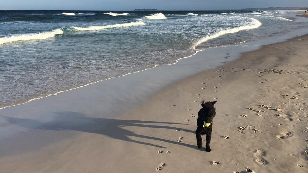 Junior playing on the beach, Brunswick Heads, New South Wales