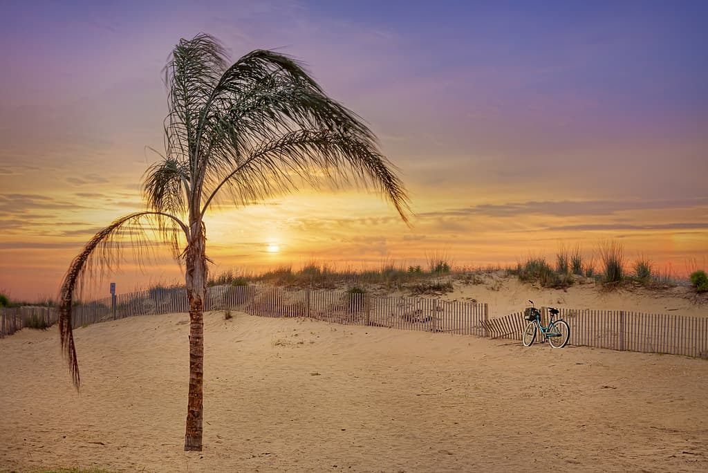 Oceanside City Beach