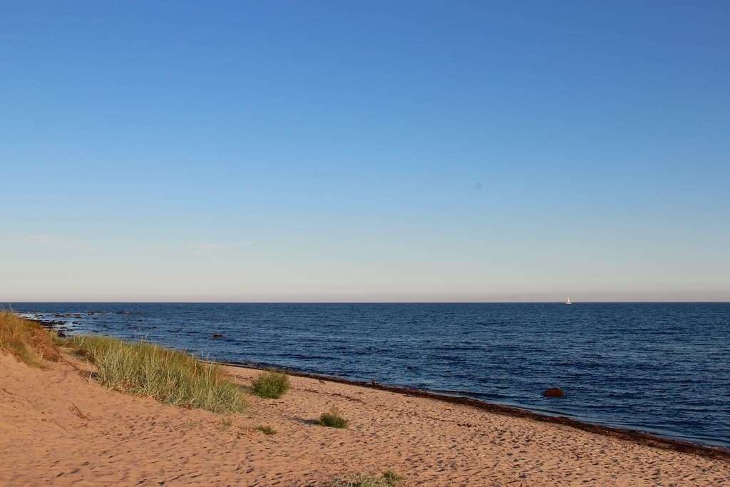 Svarte Beach