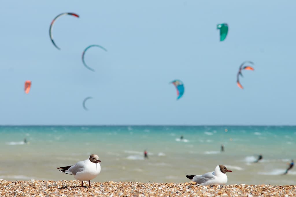 Rustington Beach — photo by -RobW-