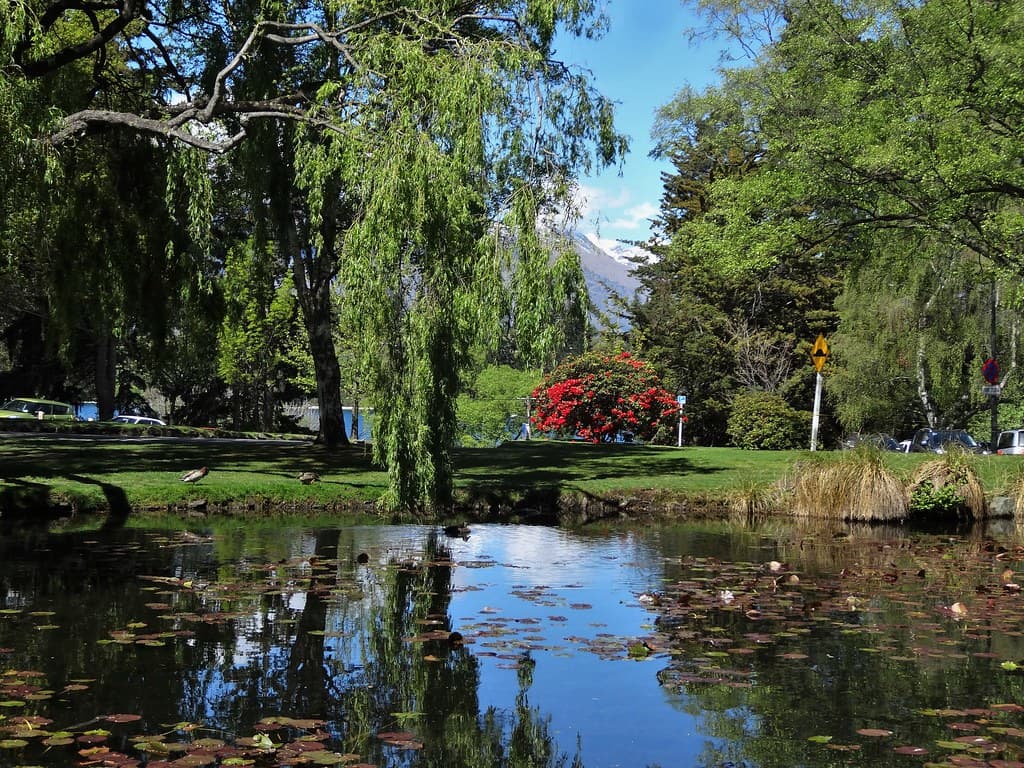 Queenstown Botanic Gardens. Lake, red rhododendron and snow on the Remarkables.