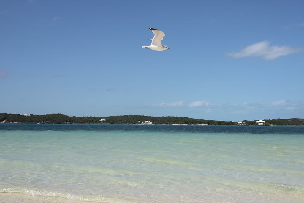 Tilloo Pond Beach — photo by meltedplastic