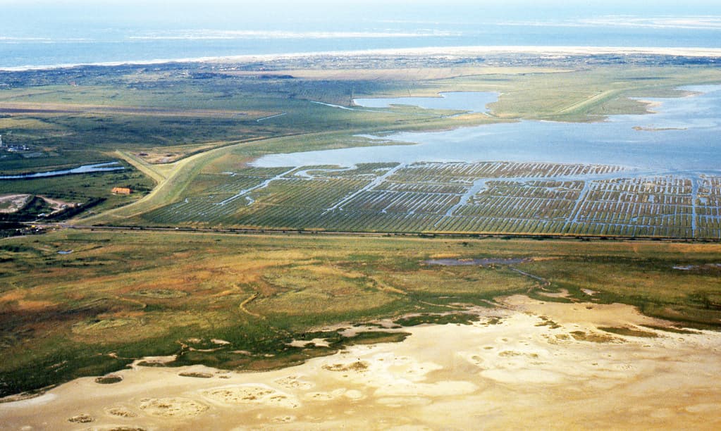 Borkum, Lower Saxony Wadden Sea National Park, Germany