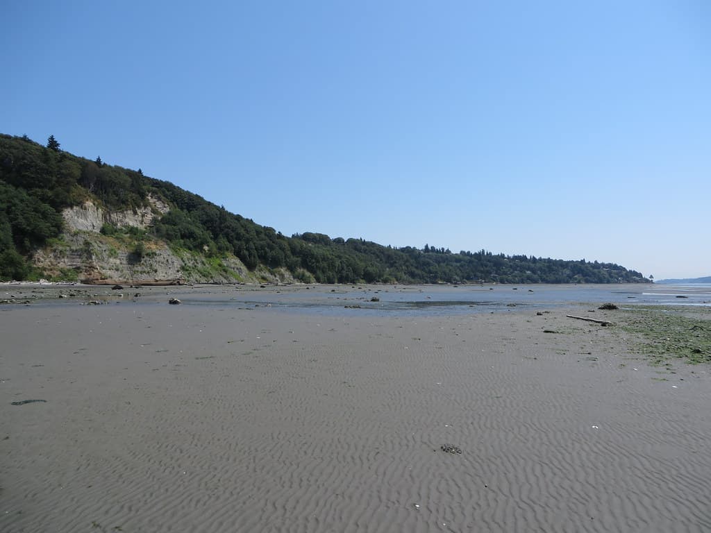 Magnolia Beach