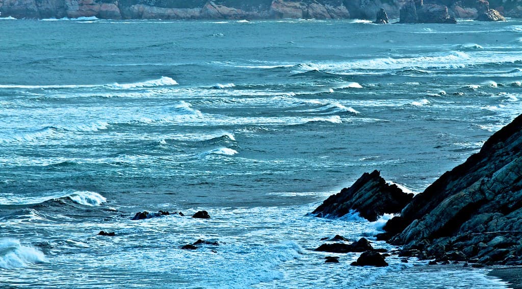 La piel del mar ::  The Skin of the Sea :: 20140815 8501