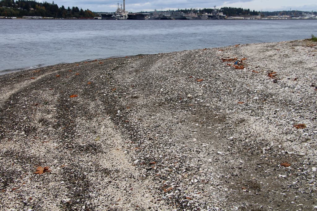 Ross Point