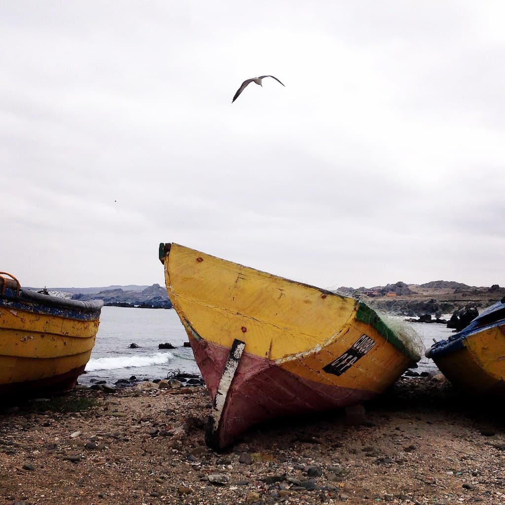 Punta de Choros, Chile.