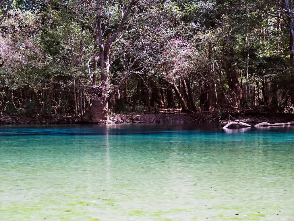 Cypress Springs, Washington County, Florida