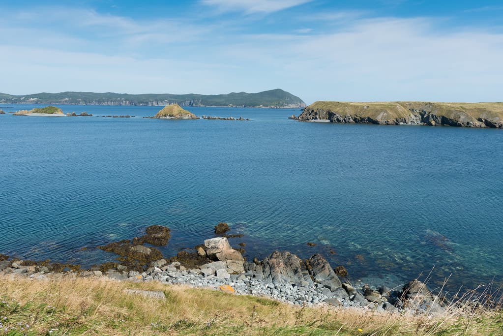 Ferryland Beach — photo by claudiu_dobre