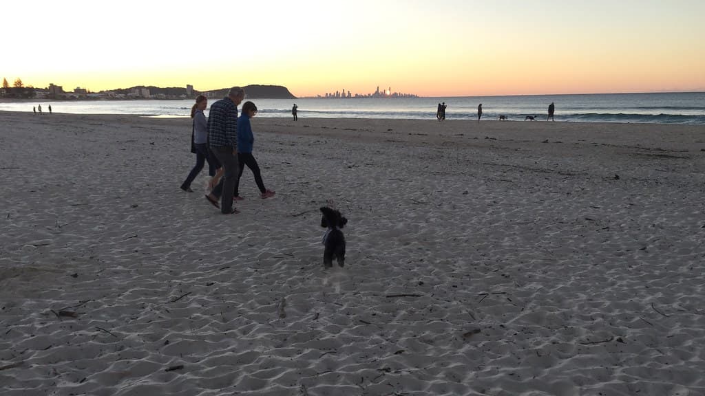 Junior at Palm Beach, Gold Coast, Queensland
