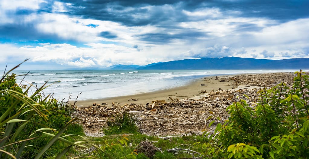 Carters Beach — photo by mattdwen