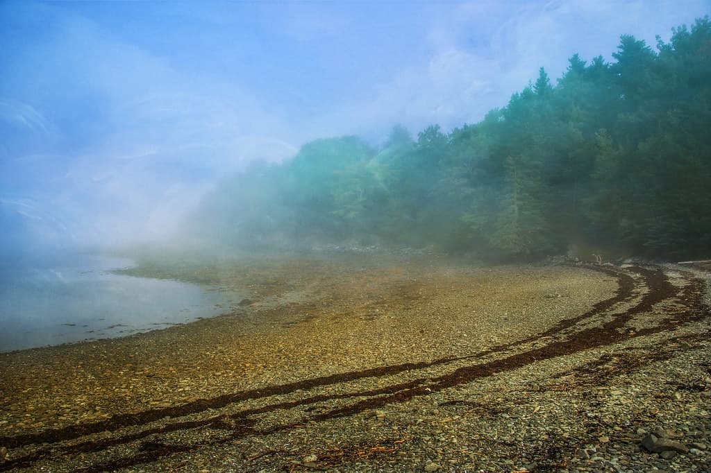 Pine Island Beach view 3
