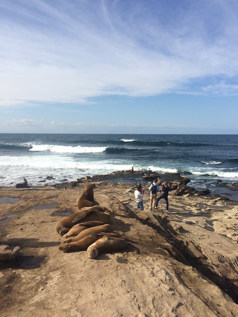 San Diego