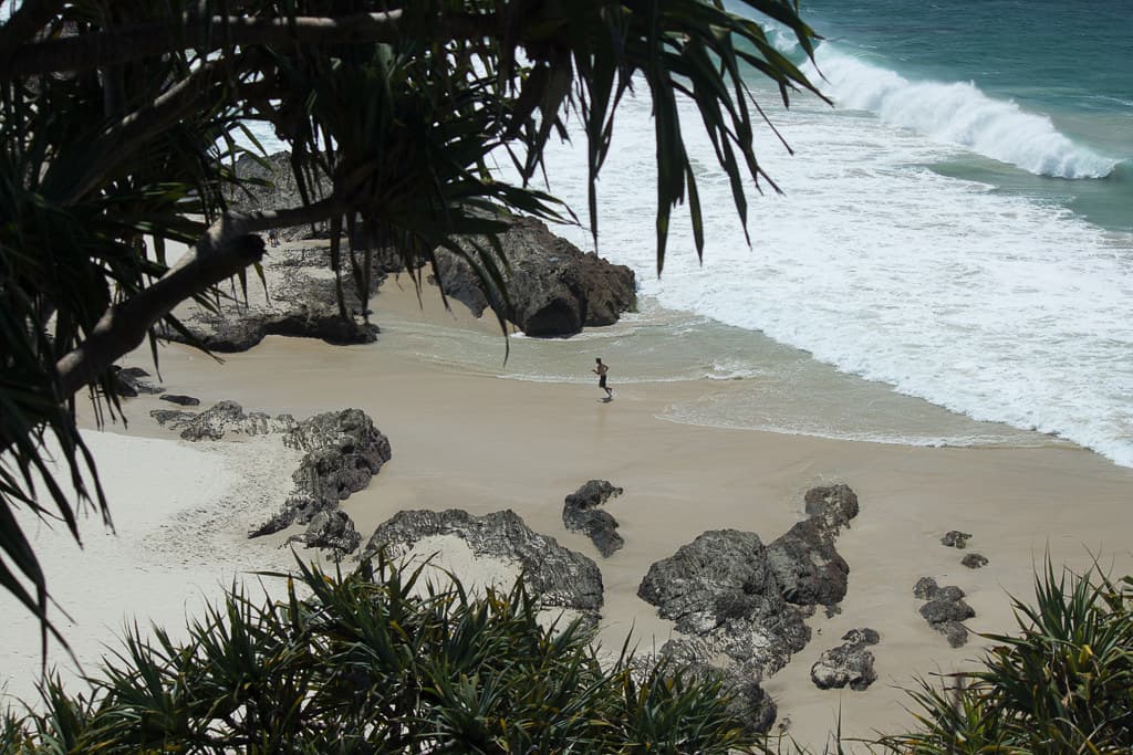 Snapper rocks