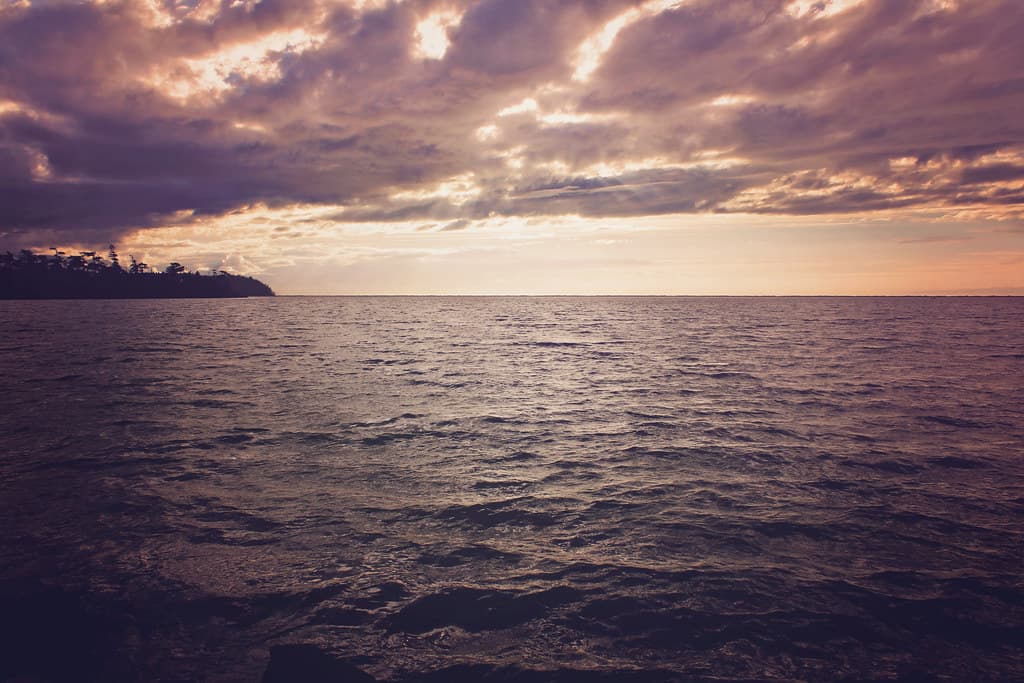 Dark Water