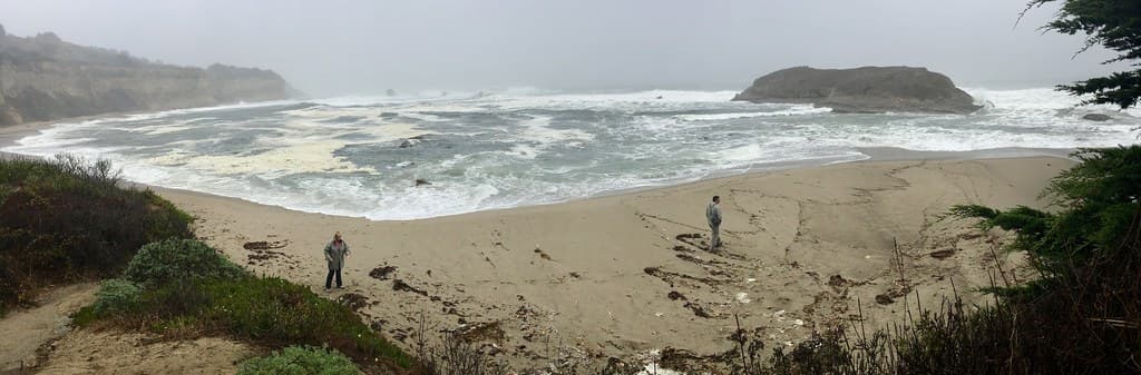 Forester Beach