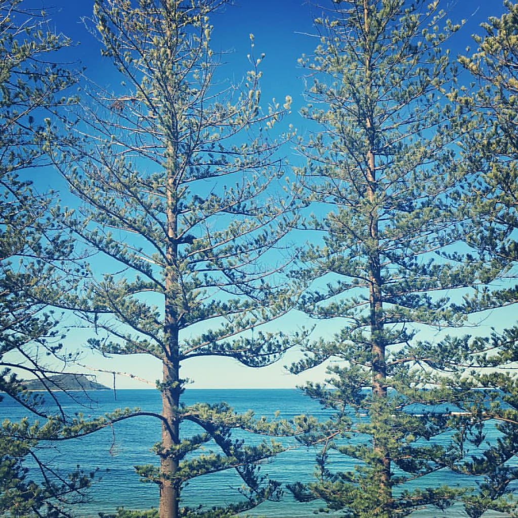 Balcony view #win #newyear #travel #terrigal #australia #beach #ocean #landscape #horizon