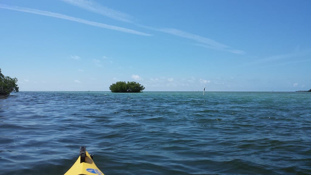 Boca Chica Sandbar