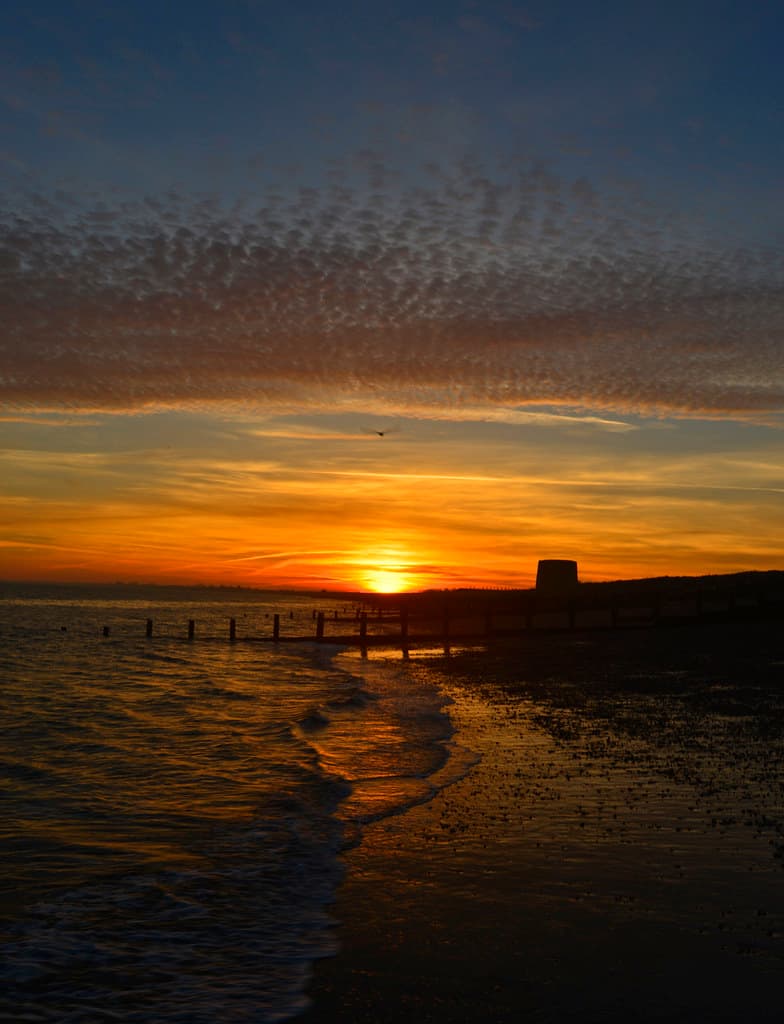 Sunny Sands