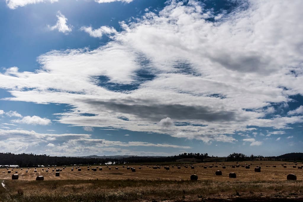 Bales