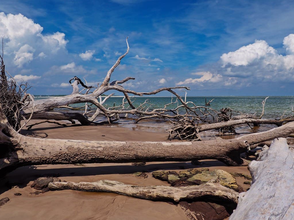 Boneyard Beach at Big Talbot Island
