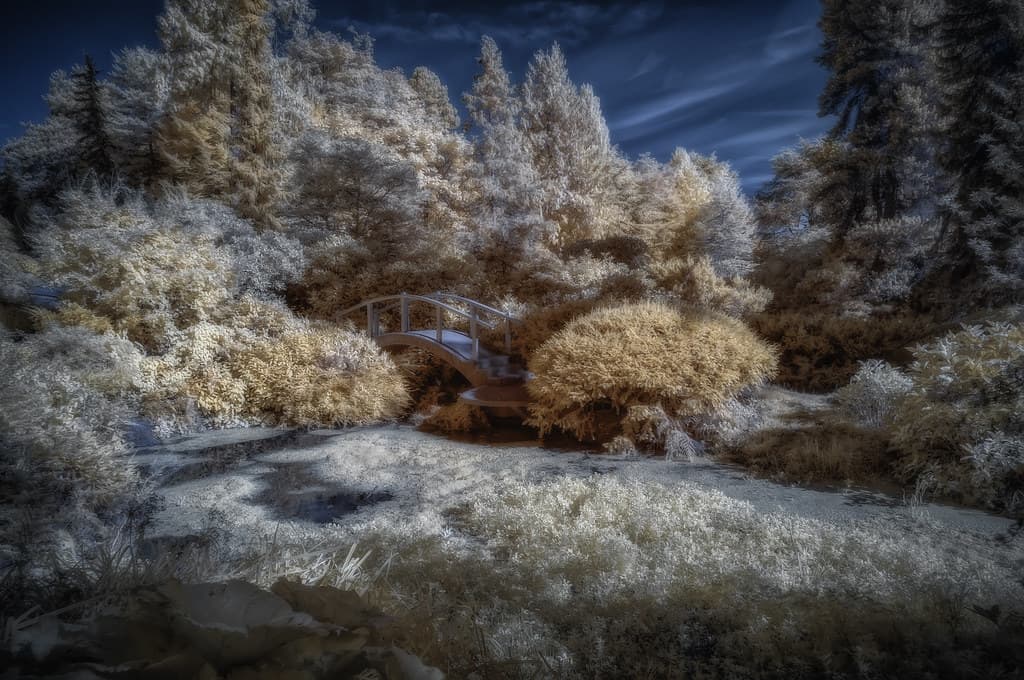Kubota Japanese Garden Infrared (Seattle, Washington)