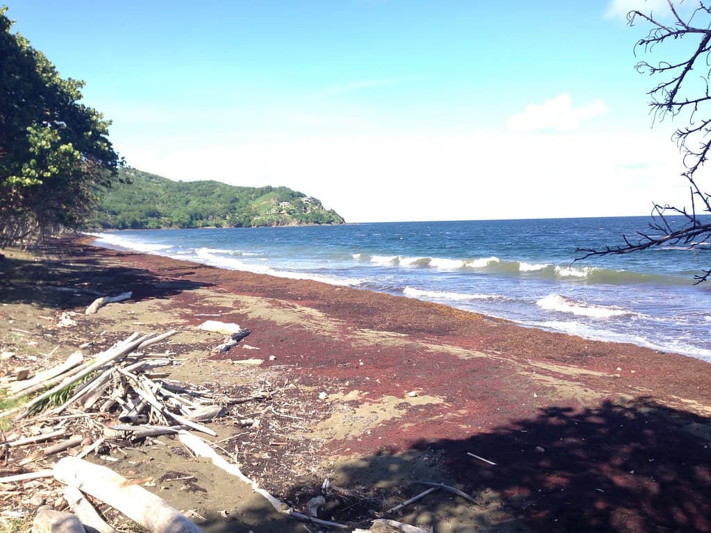 Petit Trou Beach — photo by rjsinenomine