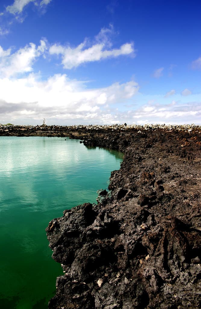 Tiburón bay