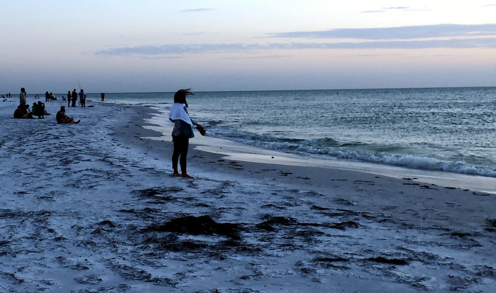 The Beach Trail - Anna Maria Beach