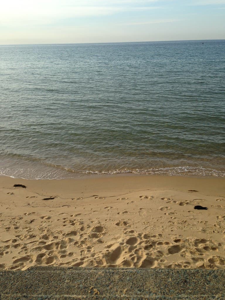 Kashiihama Beach
