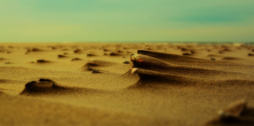 Oosterend Beach