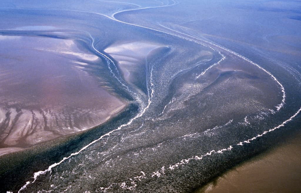 Tidal mudflats and creeks, Lower Saxony Wadden Sea National Park, Germany