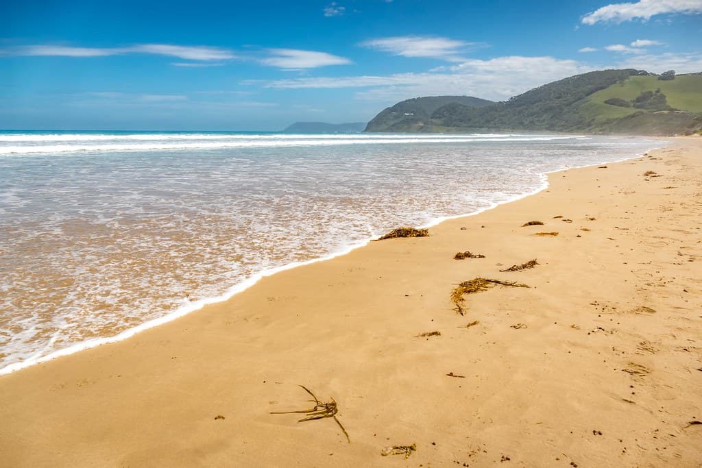 Fairhaven Beach