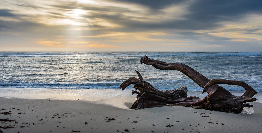 Moss Beach Sunset