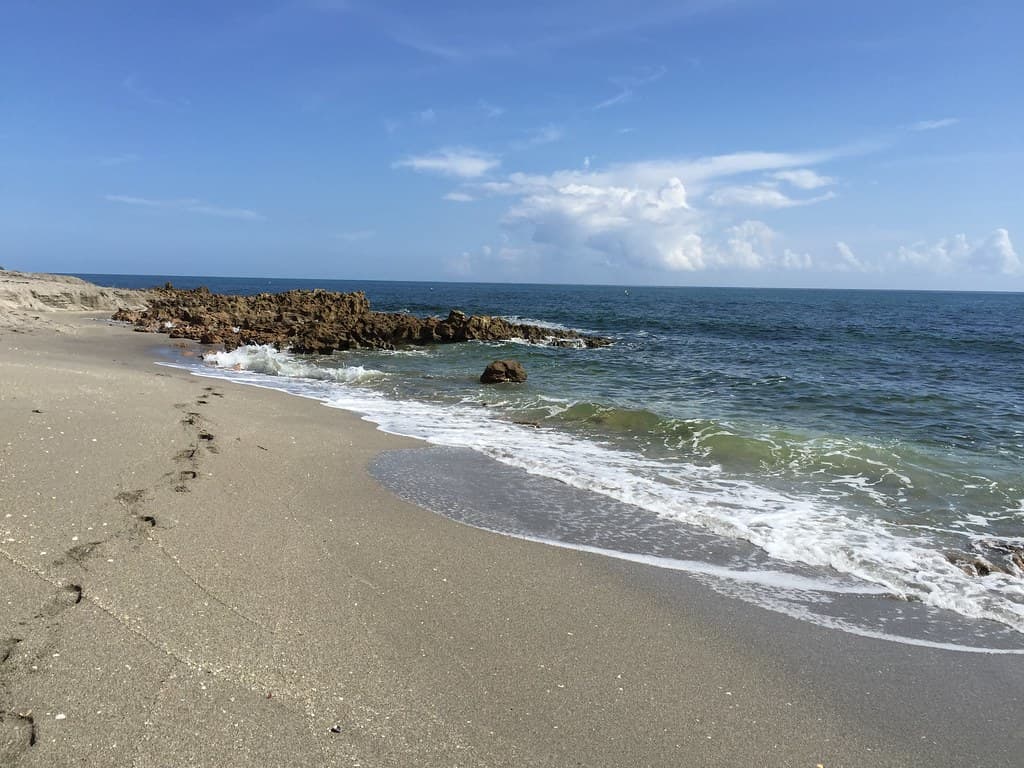 Rocky Shore