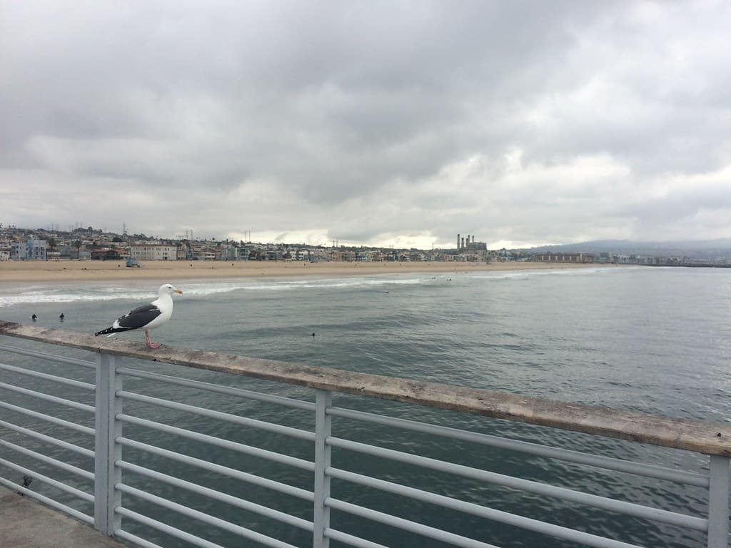 Beach Cities