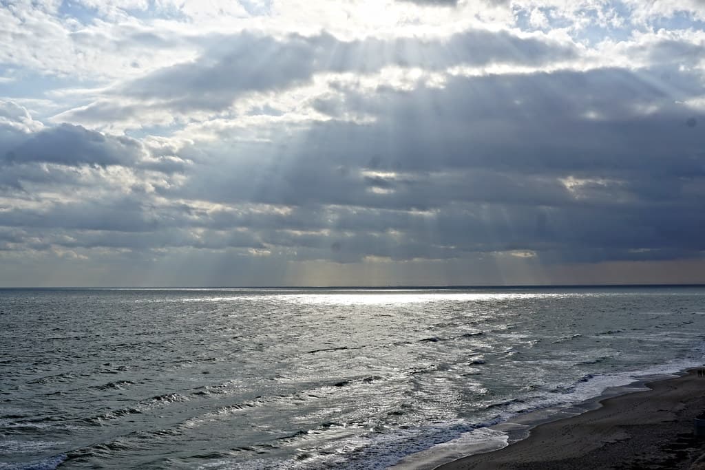 Yesterday Morning