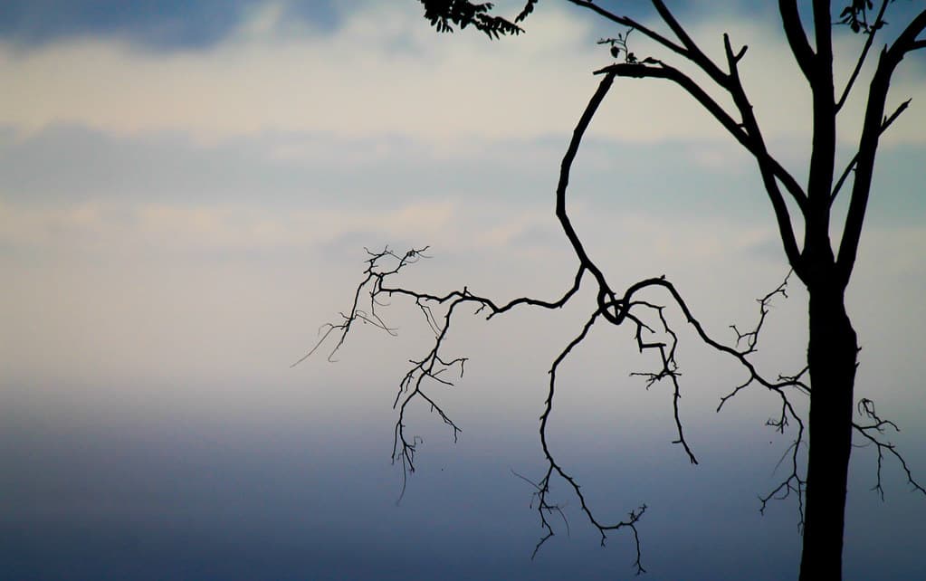 Tristezas ::  Sadness :: Tristesse ::: 20120714 4684