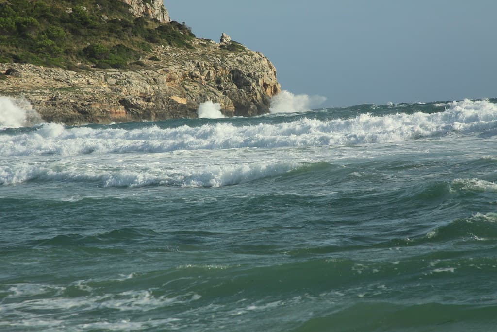 Cala en Porter — photo by Steve Dawson.