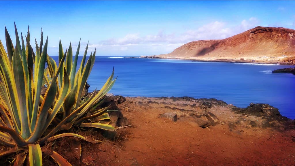 Playa del Confital