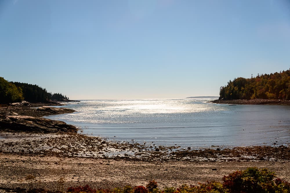 Otter Cove