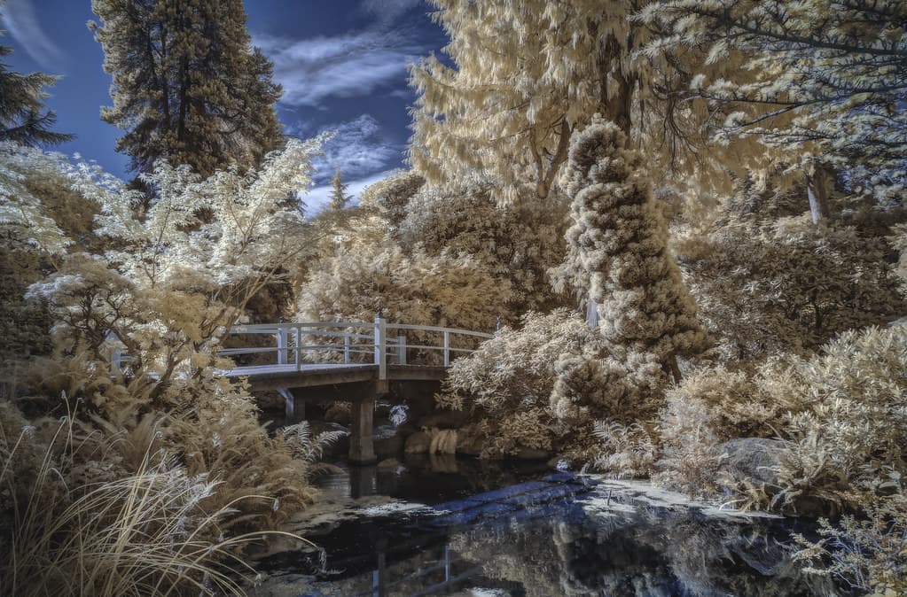 Kubota Japanese Garden Infrared (Seattle, Washington)
