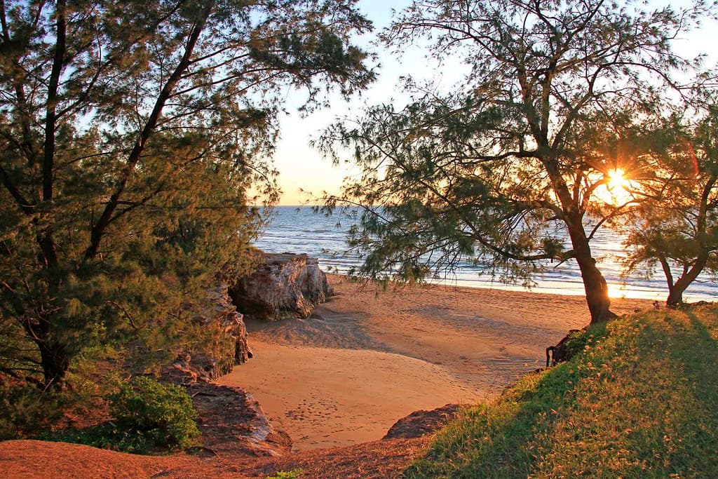 Casuarina Beach Sunset through Casuarina (native oak) trees.HDR conversion