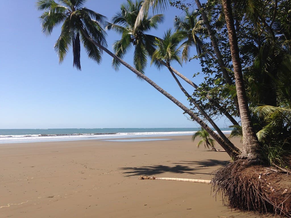 Playa Colonia — photo by Geoporter