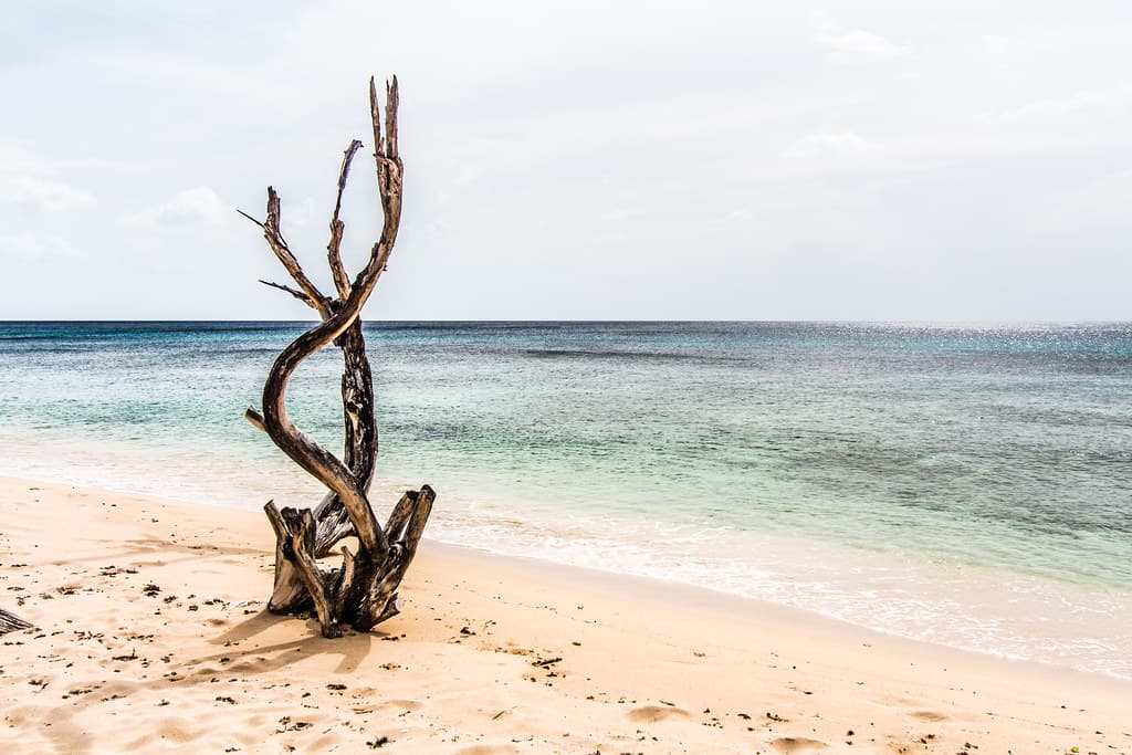 Little Bay Beach — photo by bez_uk