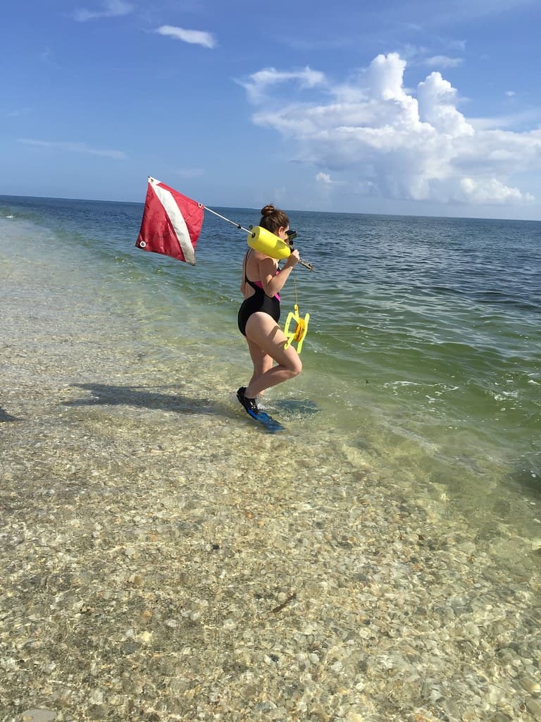 Carrying Diver Flag