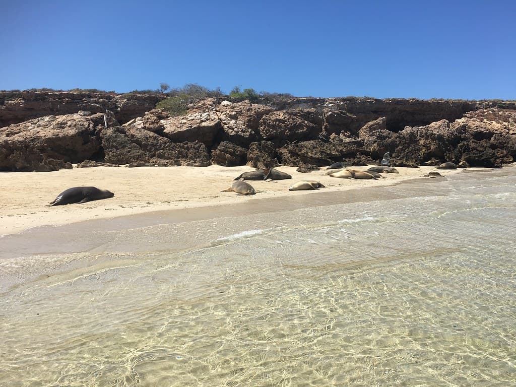 Baird Bay Eco Experience