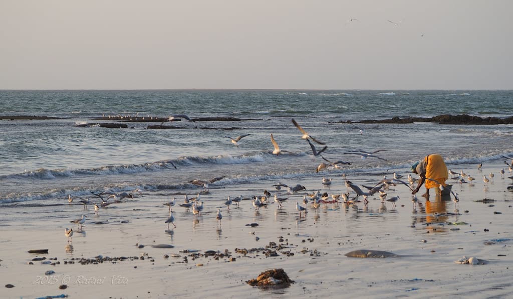 Sanyang Cliffs Beach — photo by Rafael Vila