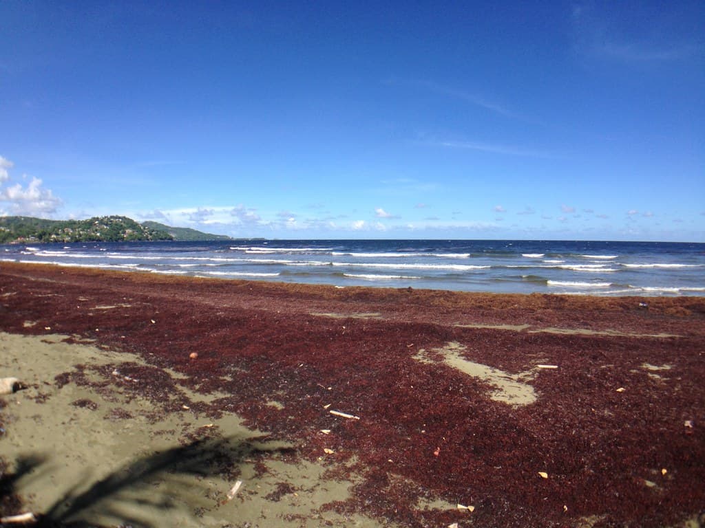 Petit Trou Beach — photo by rjsinenomine